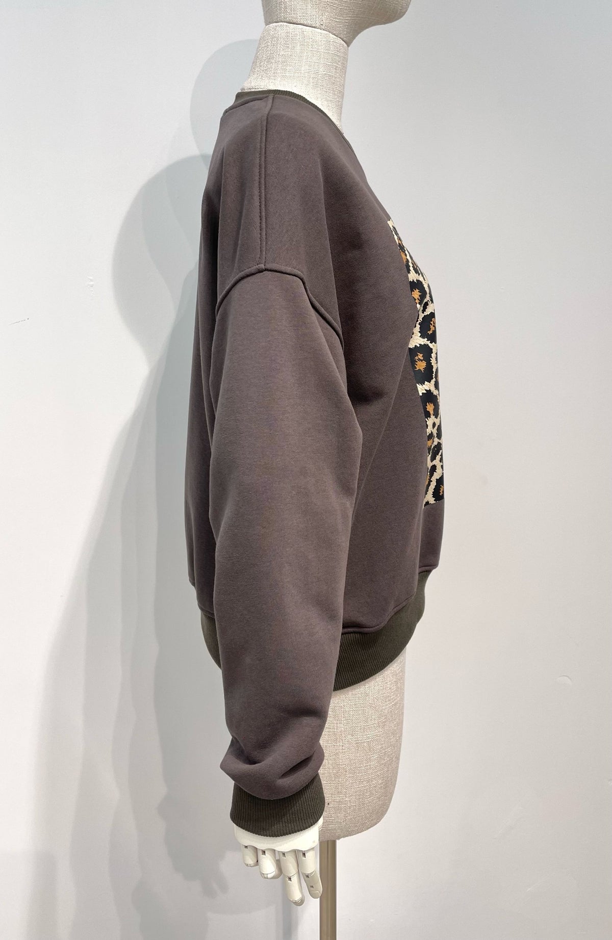 Pull Roos bruin