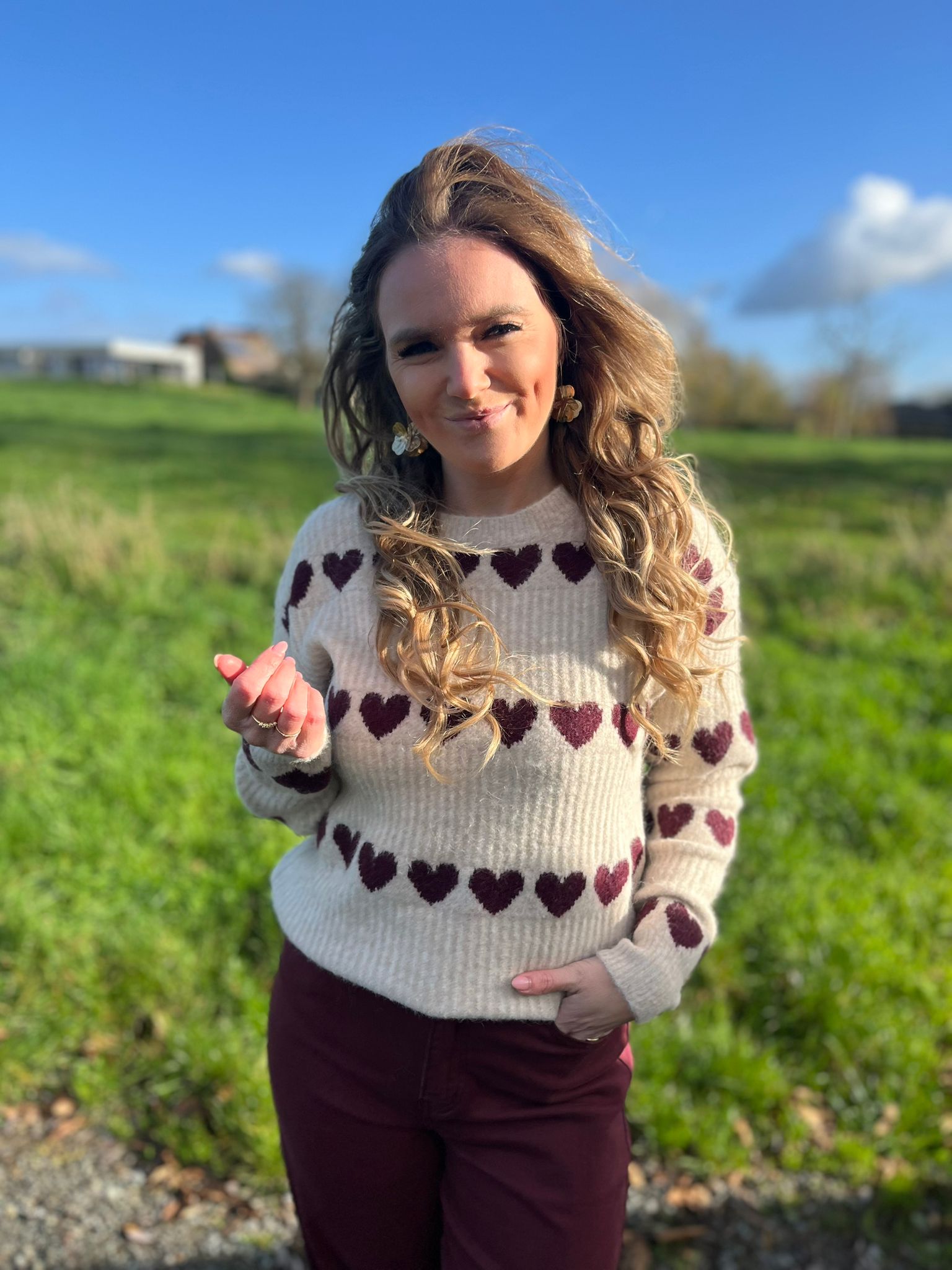 Pull Clara taupe/bordeaux