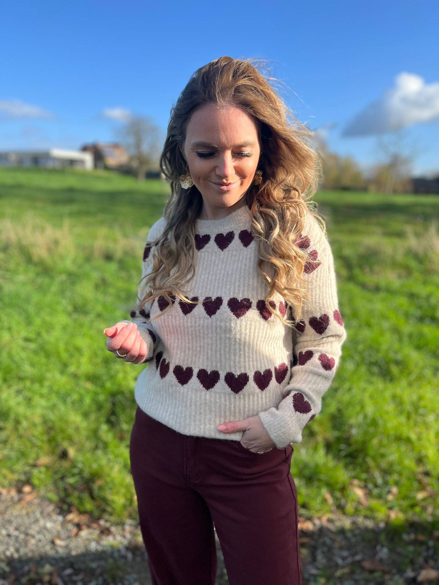 Pull Clara taupe/bordeaux