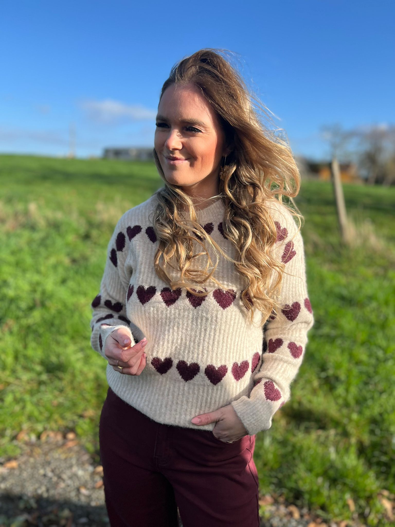 Pull Clara taupe/bordeaux
