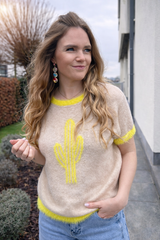 Pull Amélie Alison taupe/yellow